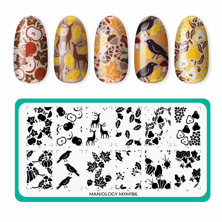 NAIL SUBSCRIPTION BOX - JOIN THE MANI X ME MONTHLY CLUB