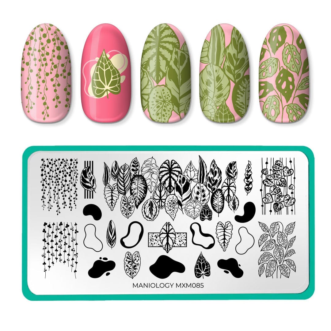 ＿nail〻〻 Spooktacular (CjSH-116) Nail Art Layered Stamping Plate
