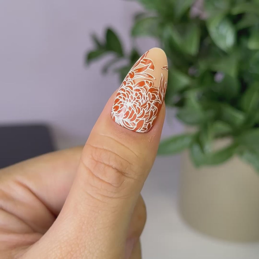 Chrysanthemum Blossoms (M664) - Nail Stamping Plate