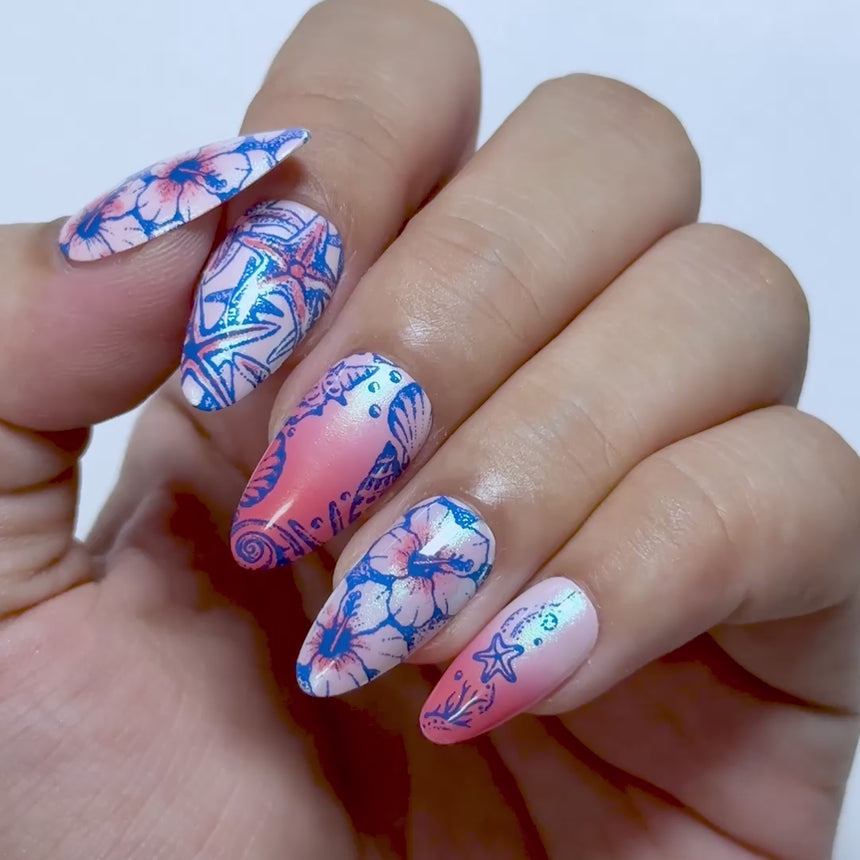 Sea of Stars: Ocean Keepsakes (MXM182) - Nail Stamping Plate