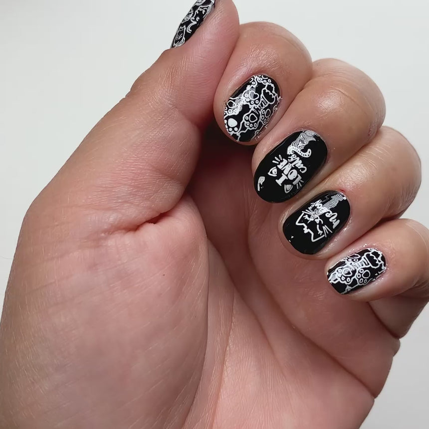 On the Prowl: Cat-Themed Nail Stamping Starter Kit