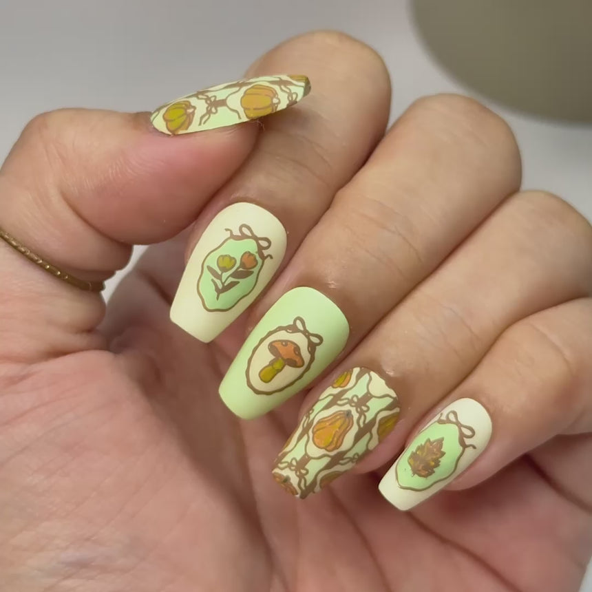 Harvest Pictures (M651) - Nail Stamping Plate