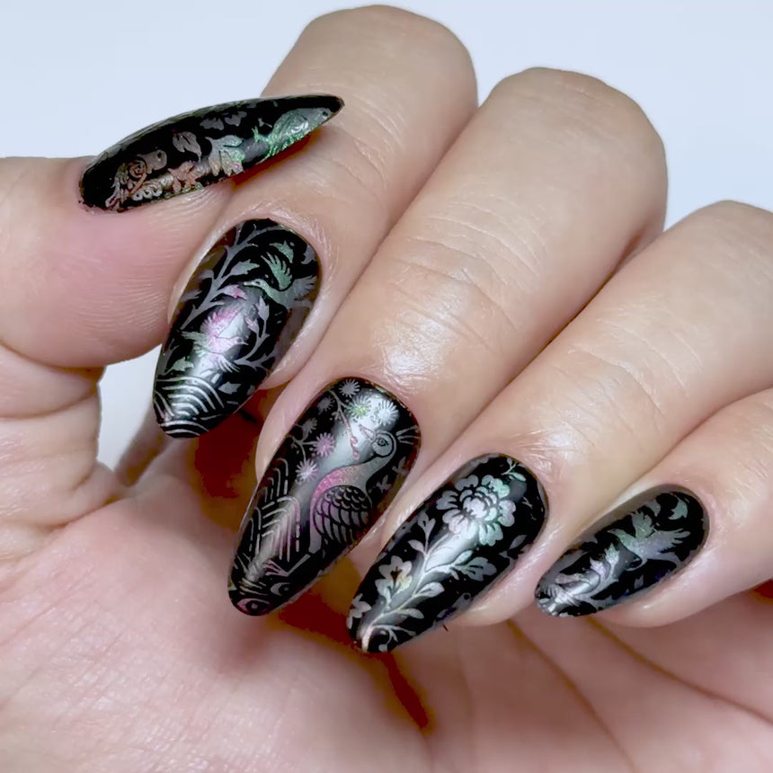 Shell Inlay French (M689) - Nail Stamping Plate