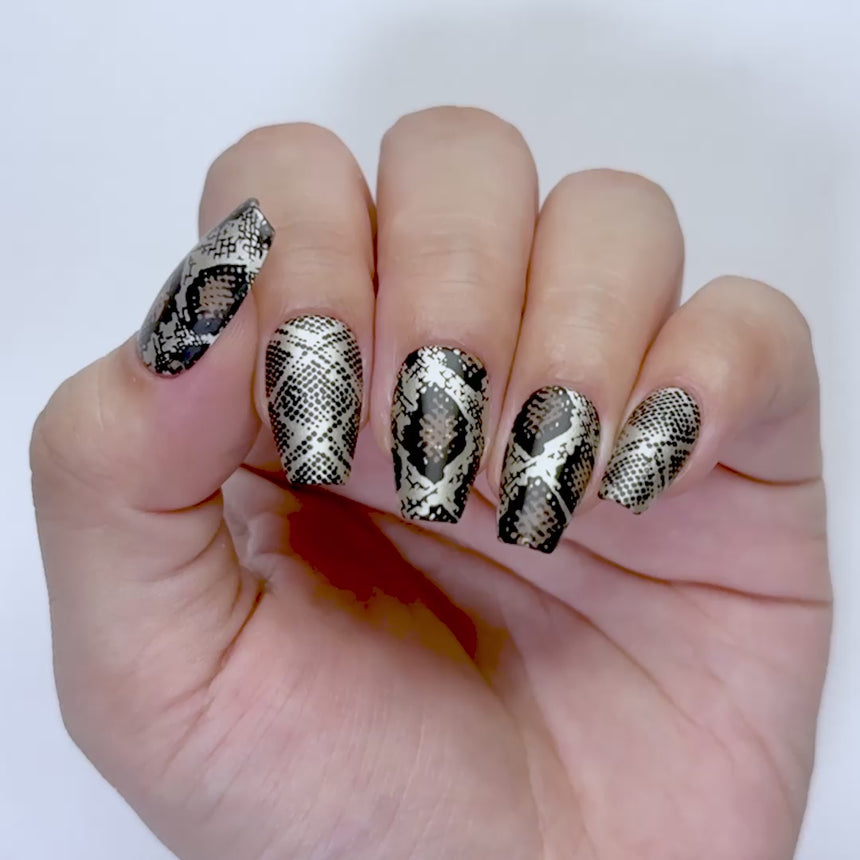 Slither in Style (M441) - Nail Stamping Plate
