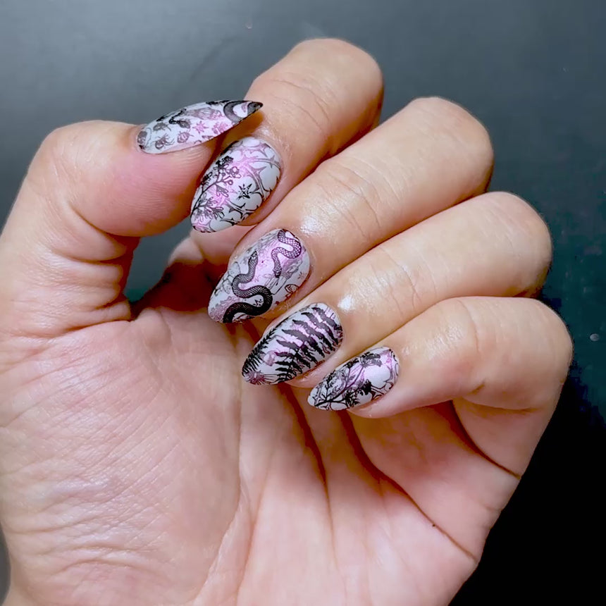 Herbarium (M720) - Nail Stamping Plate