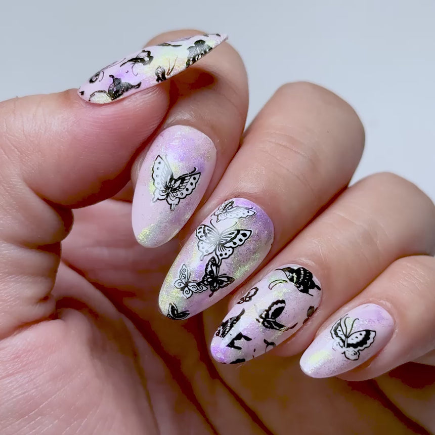 Delicate Wings (M693) - Nail Stamping Plate