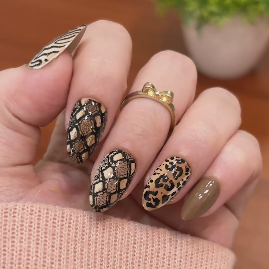 Wild Instincts (M708) - Nail Stamping Plate