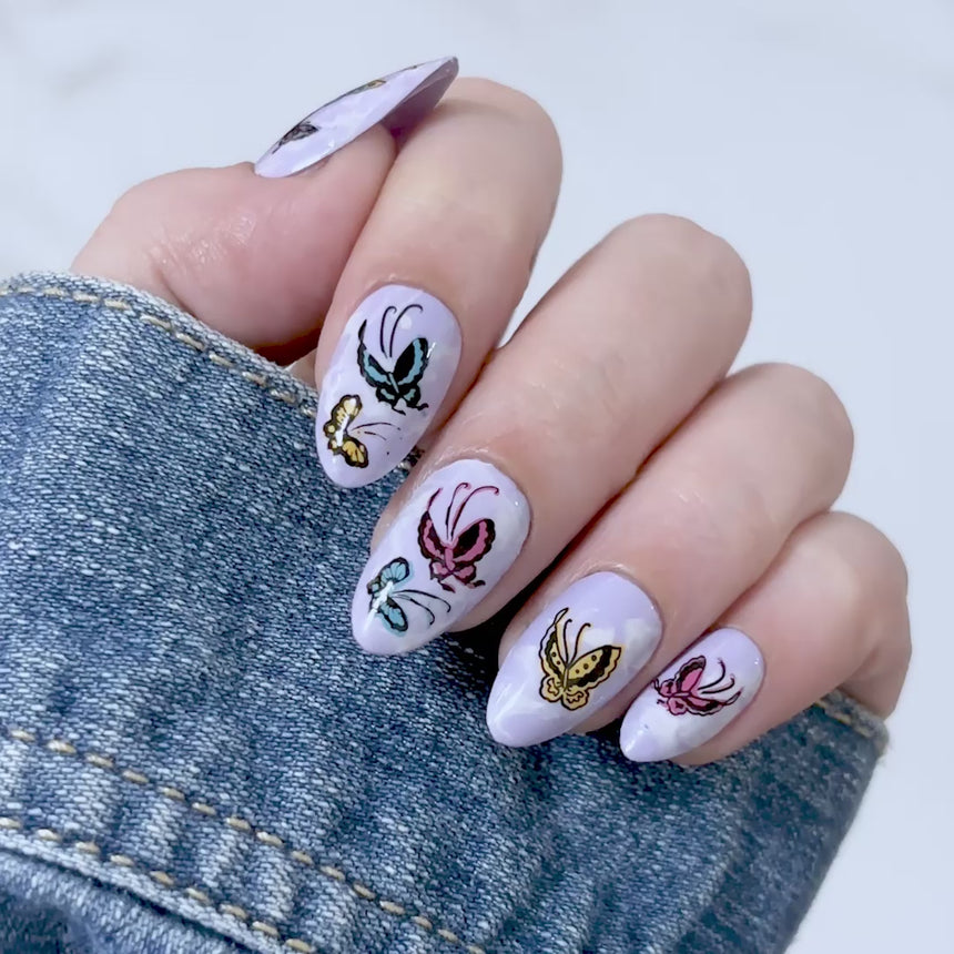 Delicate Wings (M693) - Nail Stamping Plate