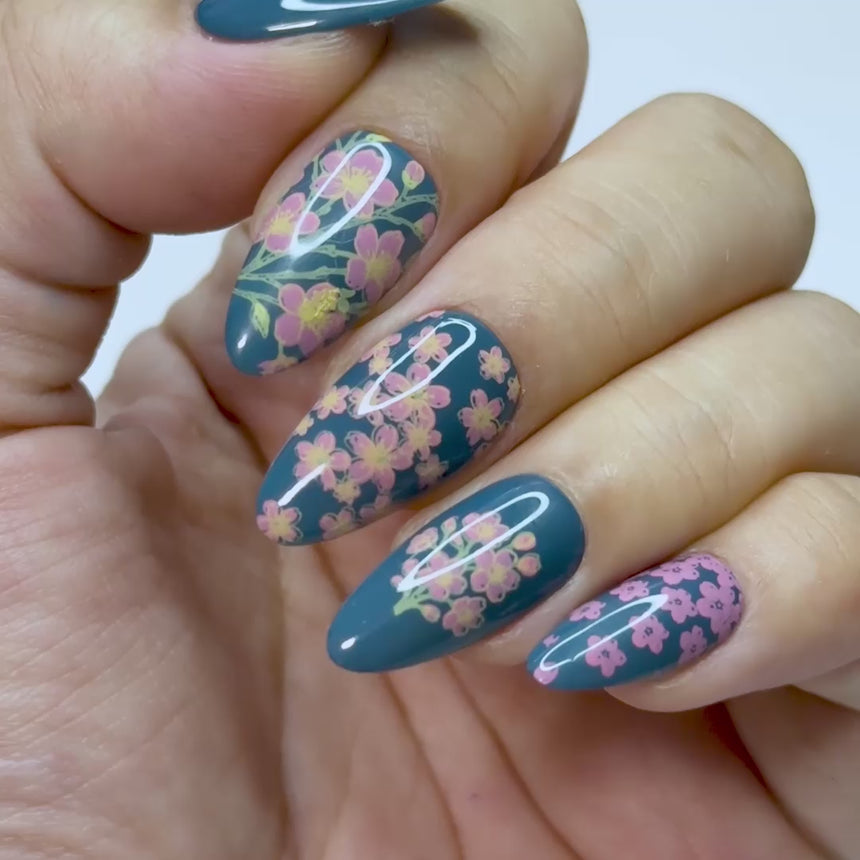 Sakura Showers (M663) - Nail Stamping Plate