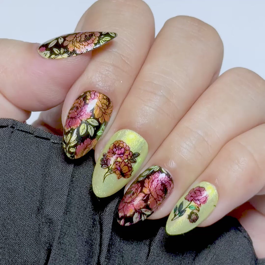 Peony Petals (M665) - Nail Stamping Plate