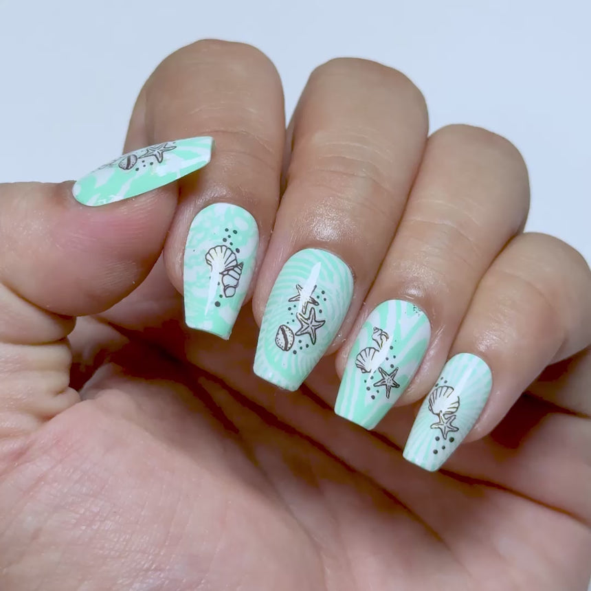 Beachcomber (M706) - Nail Stamping Plate