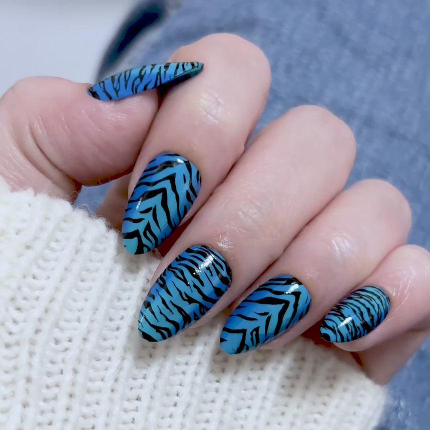 Clawed and Dangerous (M690) - Nail Stamping Plate