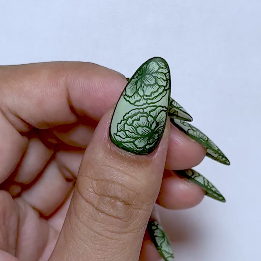 Forever Carnations (M732) - Nail Stamping Plate