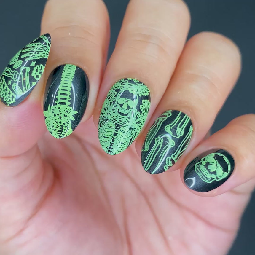 Skeletons in the Closet (M314) - Nail Stamping Plate