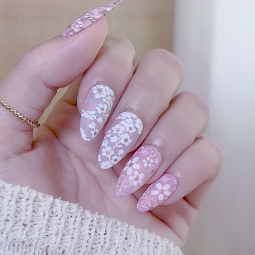 Sakura Showers (M663) - Nail Stamping Plate