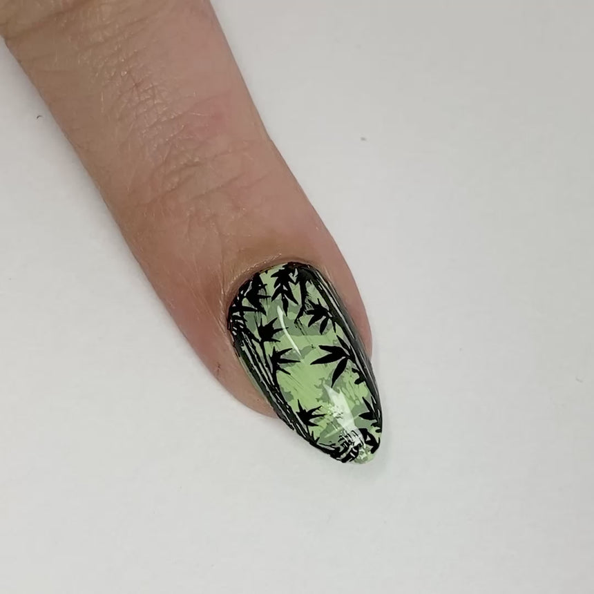 Bamboo Forests (M668) - Nail Stamping Plate