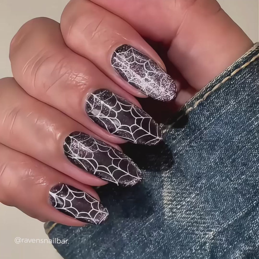 Haunted Reflections: Hallowed Glass (MXM159) - Nail Stamping Plate