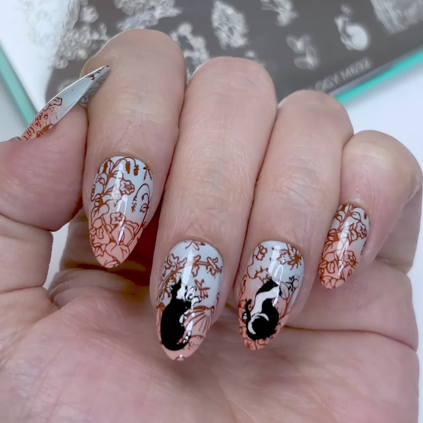 Everyday Beauties (M692) - Nail Stamping Plate