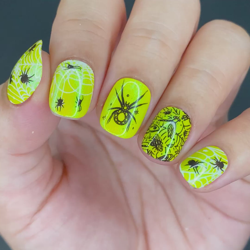 Black Widow (M316) - Nail Stamping Plate