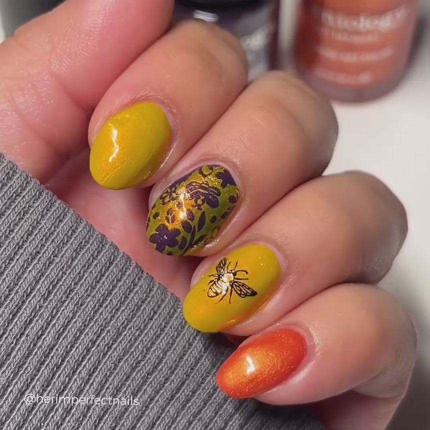 CYO Design Contest: Bees (m093) - Nail Stamping Plate