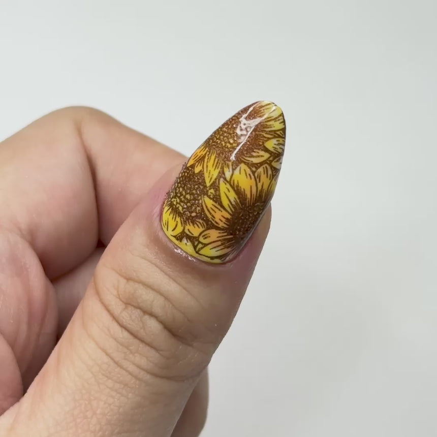 Sunflower Fields (M602) - Nail Stamping Plate