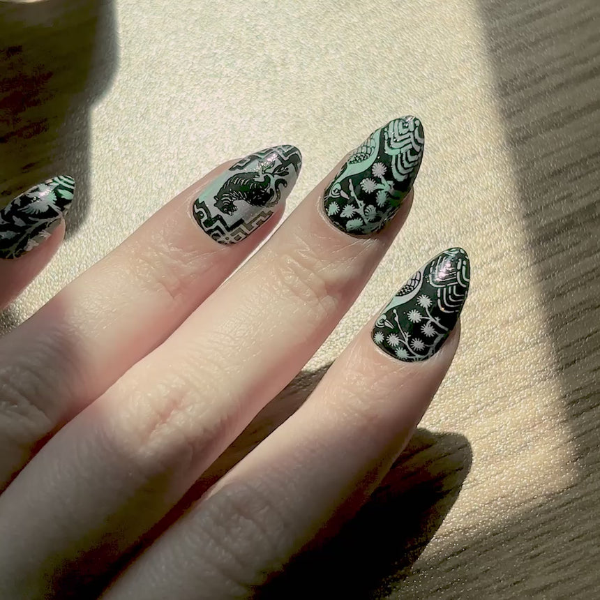 Shell Inlay French (M689) - Nail Stamping Plate