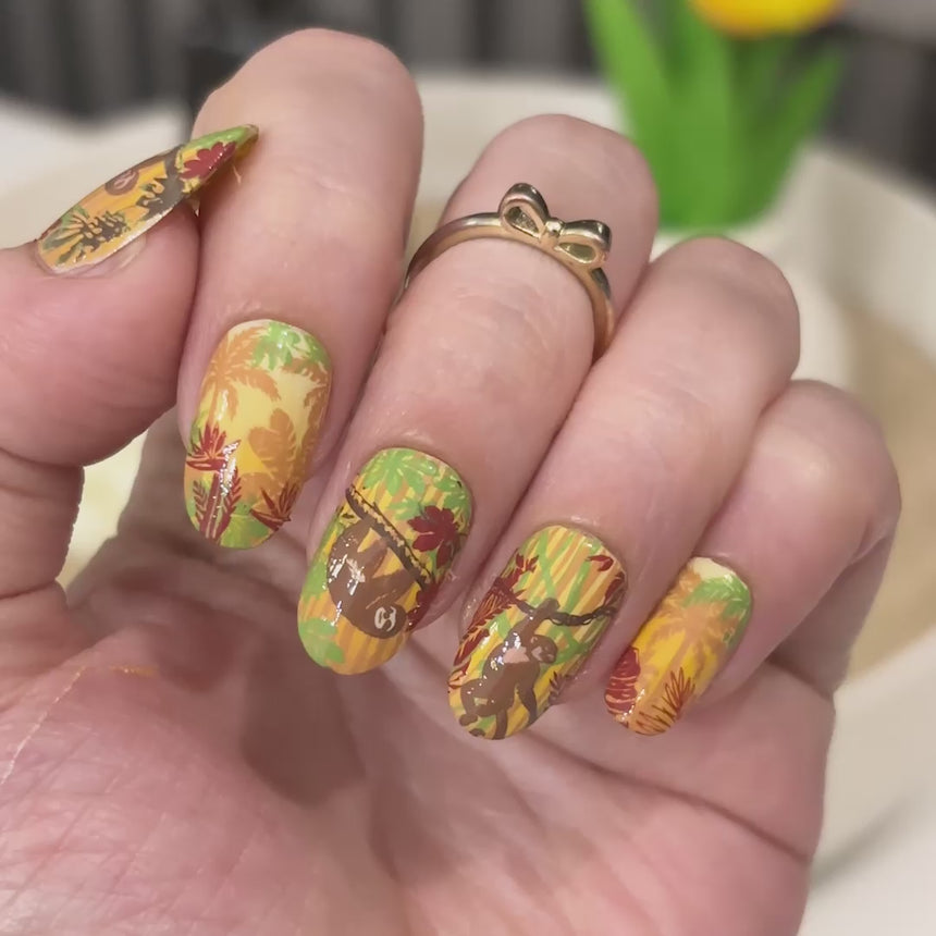 Rainforest Secrets (M709) - Nail Stamping Plate