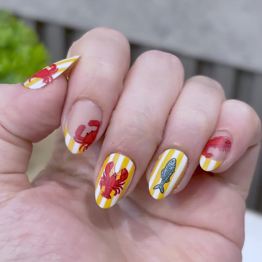 Fresh Catch (M715) - Nail Stamping Plate