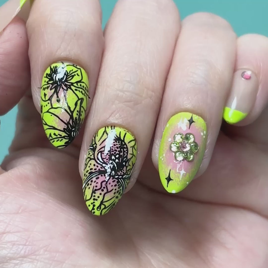 Garden Gems: Diamond Dewdrop (MXM176) - Nail Stamping Plate