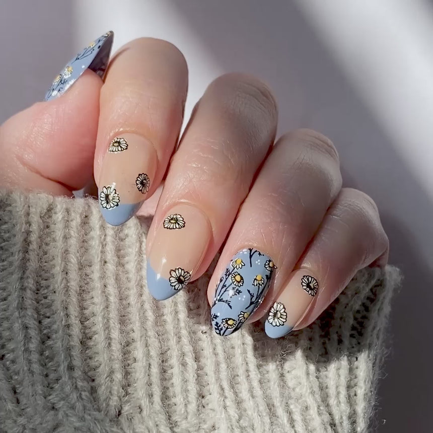 Chamomile Melody (M683) - Nail Stamping Plate