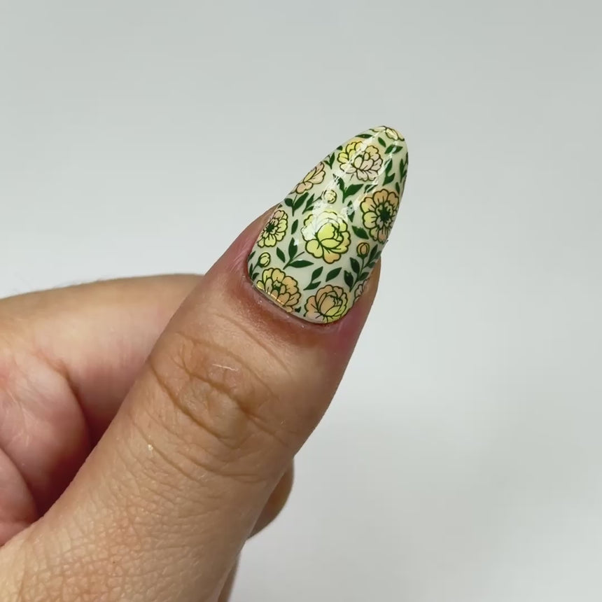 Peony Petals (M665) - Nail Stamping Plate