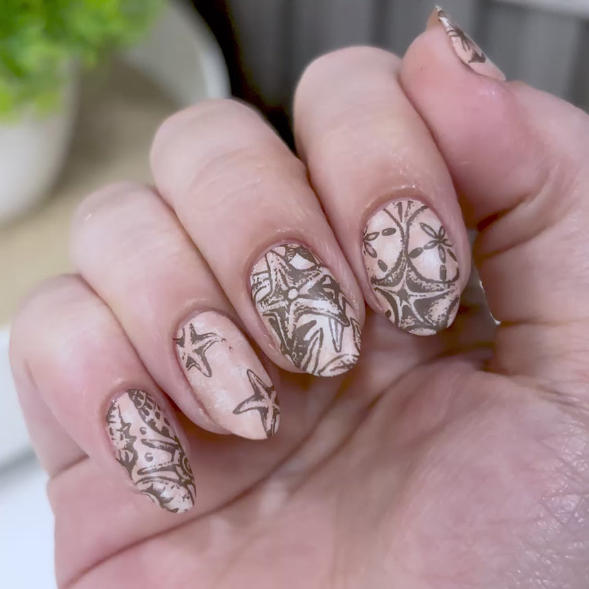 Sea of Stars: Drifted Tides (MXM181) - Nail Stamping Plate