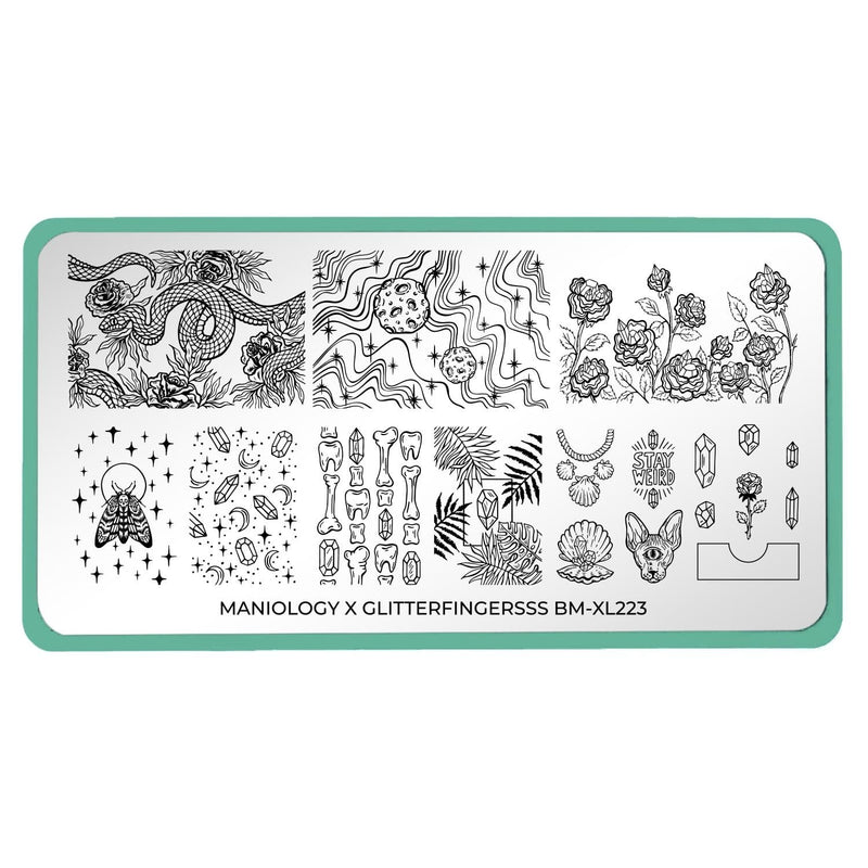 Glitterfingersss Artist Design Stamping Plate | Maniology