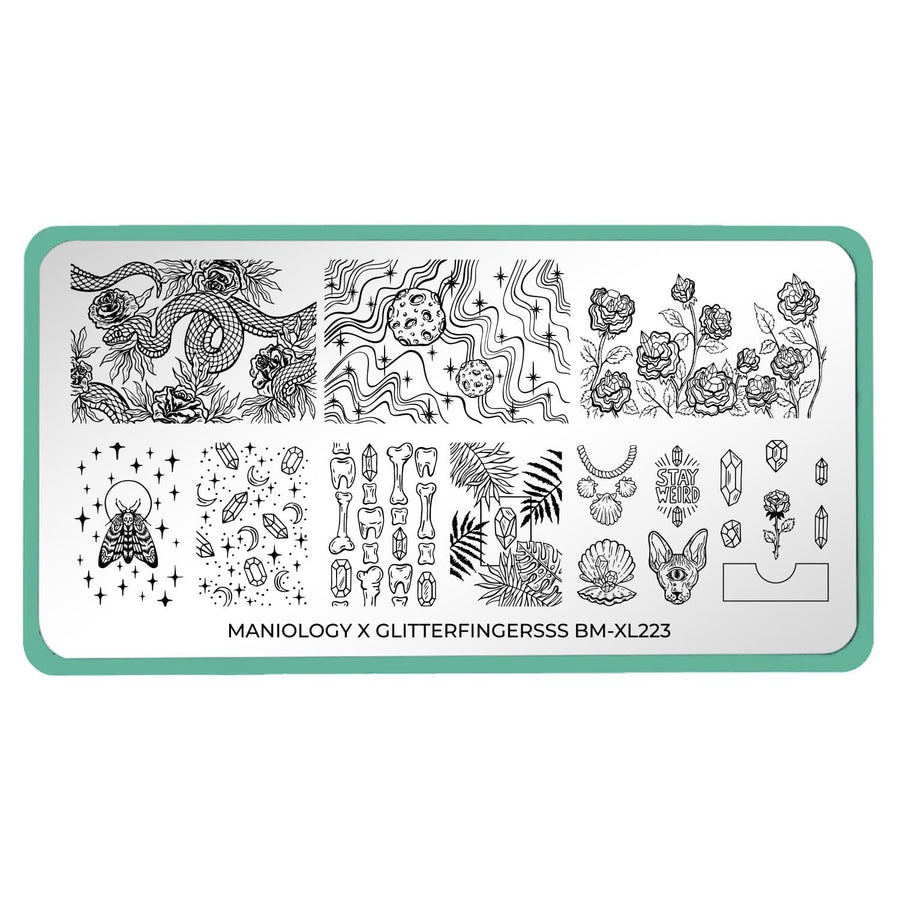  An Artist Collaboration (Glitterfingersss) nail stamping plate featuring 18 mysterious full nail, accent, and buffet-style images with cyclops kitties, moonlit moths, sprawling rose gardens, teeth, nails, and crystals by Maniology (BM-XL223).