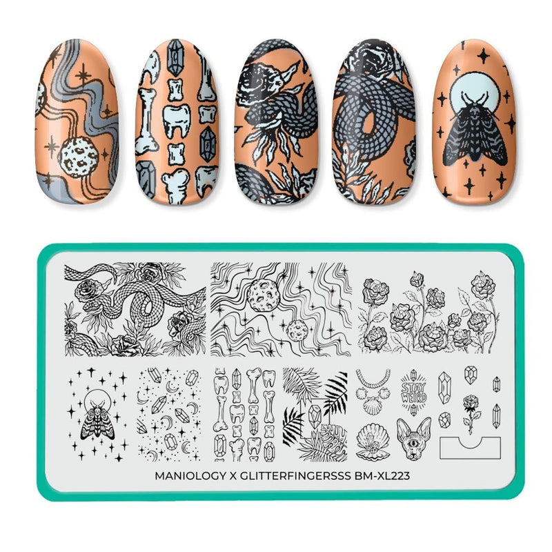 Maniology Nail Stamping Plate - New - xl211 Twi_Star