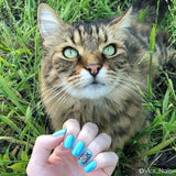 A manicured hand in blue with cat design in front of a real cat.