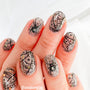 Black Widow (M316) - Nail Stamping Plate