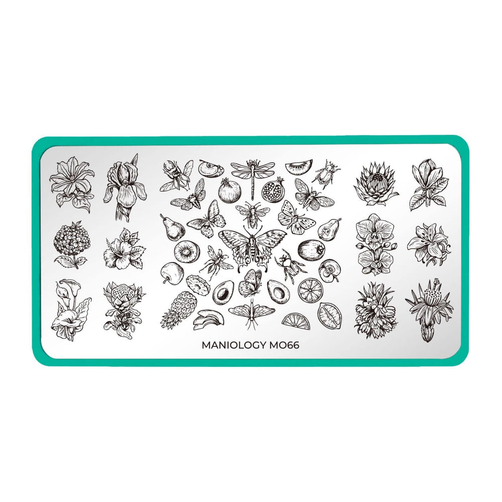 A nail art stamping plate featuring a flight of insects, juicy clusters of fruits, or handpicked flowers by Maniology (m066).