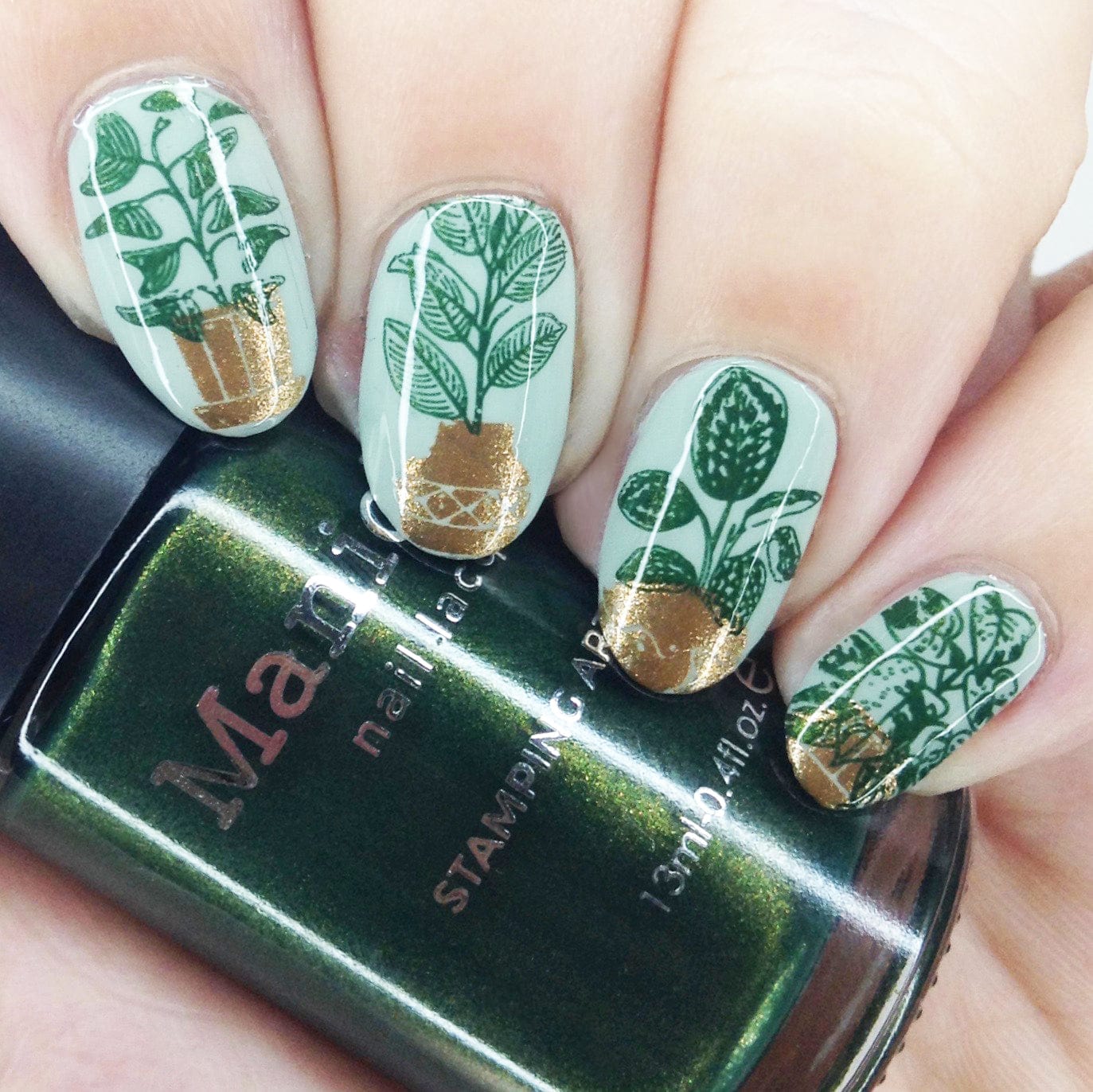FLUX 花柄ビンディング オリーブグリーン　GS Caladium Cream Sage Green Stamping Polish | Maniology
