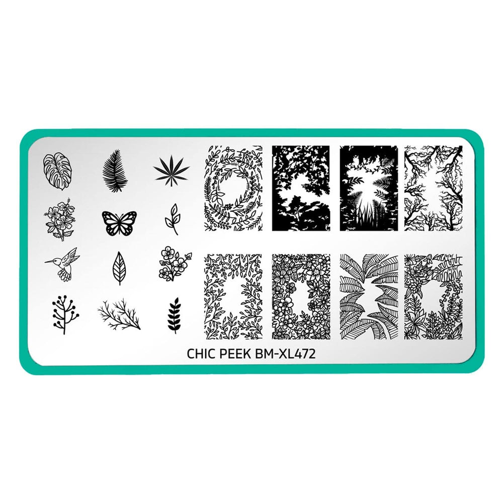 A nail stamping plate featuring lush forest ferns and beds of flowers with 12 accent designs (including hummingbirds, leaves, flowers, and butterflies) by Maniology (BM-XL472).