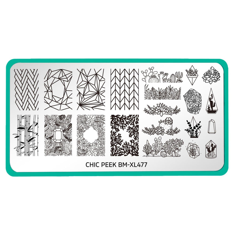 A nail stamping plate featuring a huge variety of full nail, accent, and buffet-style botanical and geometric patterns and a collection of succulents and cacti by Maniology (BM-XL477).