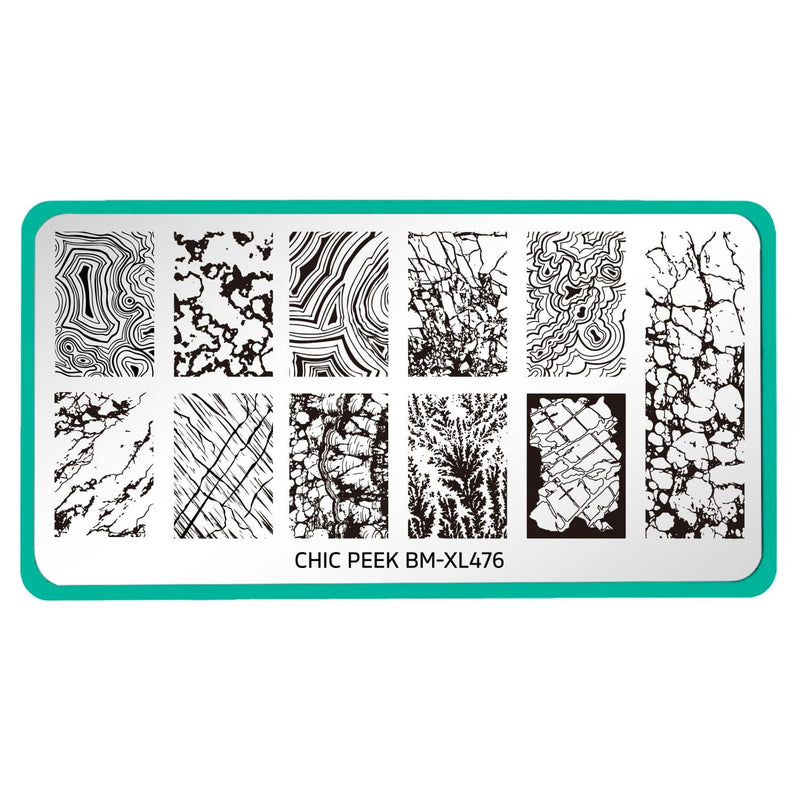 ZZLV Stamping Plate - Pronail Essentials