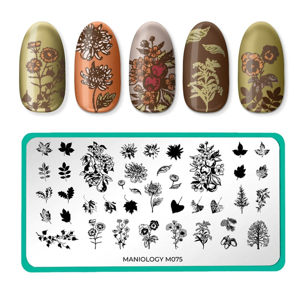 Harvest Blooms Fall Layers Nail Stamping Plate | Maniology
