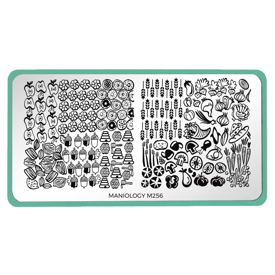 Fall Occasions: Flavors of Fall (m256) - Nail Stamping Plate