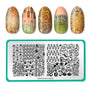 Fall Occasions: Flavors of Fall (m256) - Nail Stamping Plate