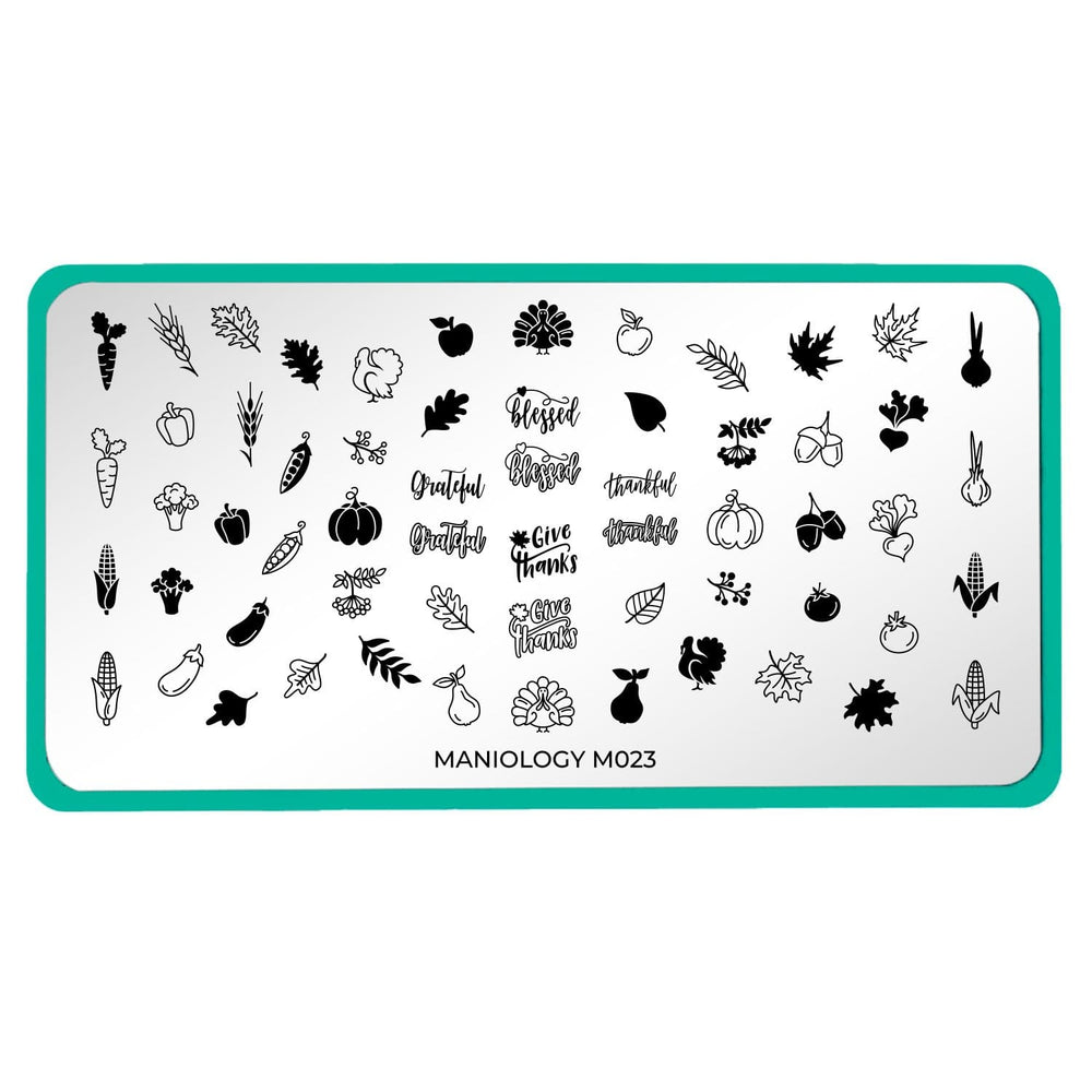 A nail stamping plate with a wide variety of layered accent designs, perfect for that thanksgiving feast and a mountain of farm-fresh food design by Maniology (m023).