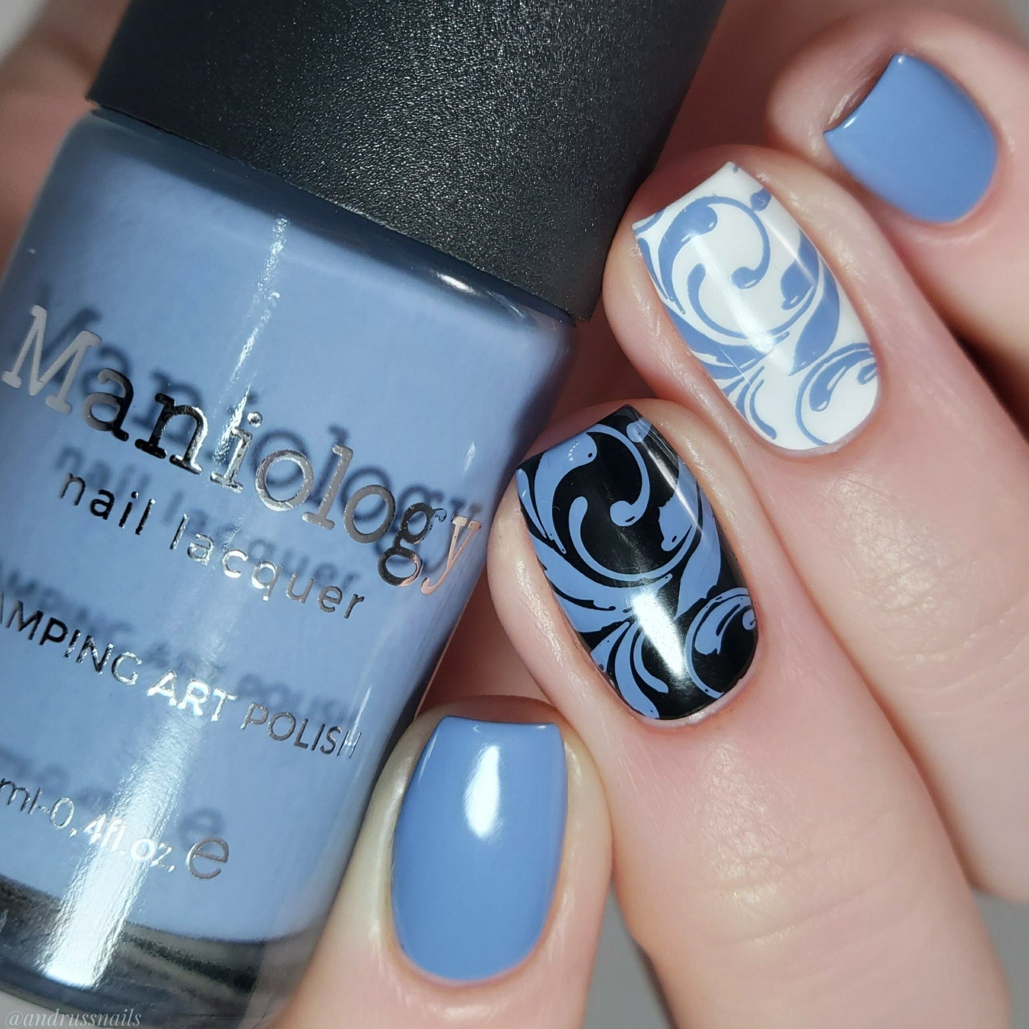 Forager: Cornflower (B417) - Dusty Blue Cream Stamping Polish