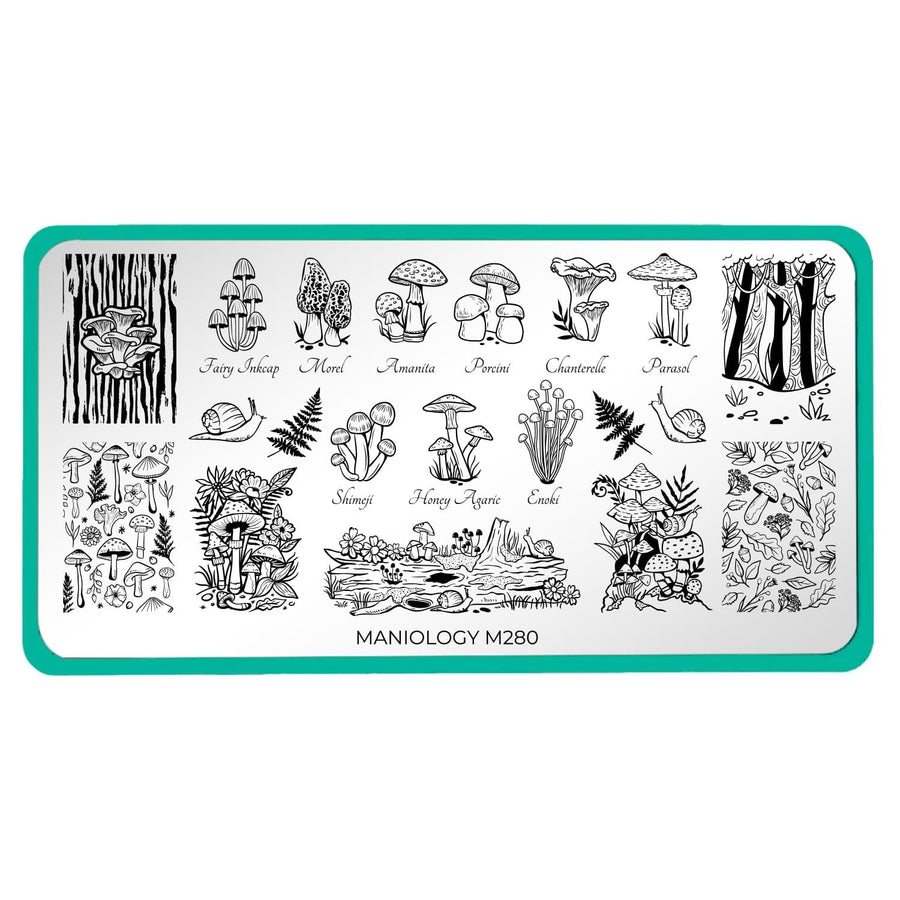 Forest Wonders: Set of 2 Nail Stamping Plates