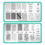 Stargazer (m012) nail stamping plate and New Romantics (m013) nail stamping plate