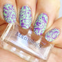 A manicured hand made with Purple Stamping Polish Littlefoot (B281) holding a stamper by Maniology.